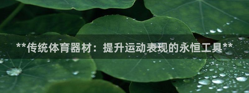尊龙AG旗舰厅APP：**传统体育器材：提升运动表现