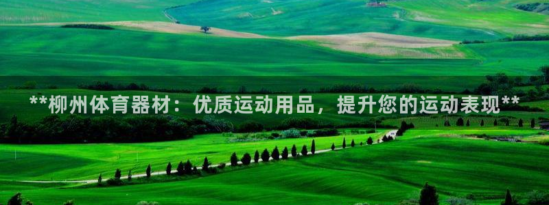 尊龙凯时是哪个国家的：**柳州体育器材：优质运动用品