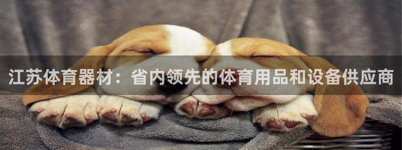尊龙人生就是博现金：江苏体育器材：省内领先的体育用品