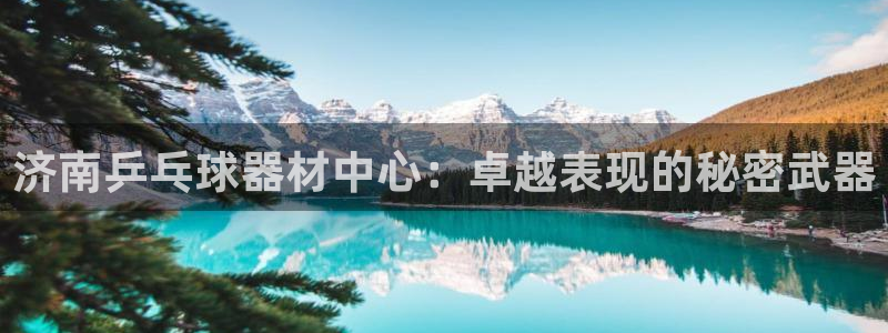 尊龙休闲e站怎么样：济南乒乓球器材中心：卓越表现的秘