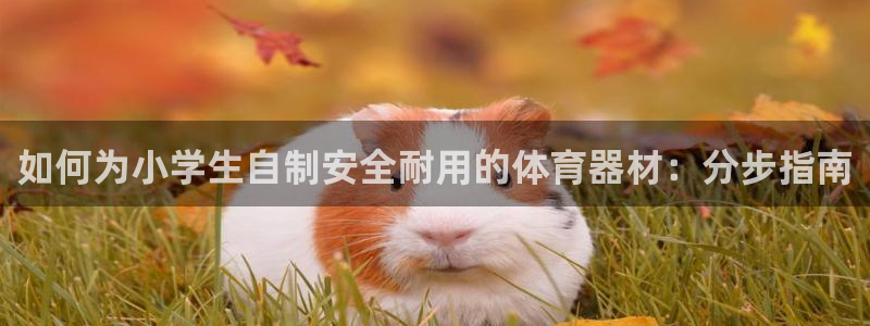 尊龙新版人生就是博!：如何为小学生自制安全耐用的体育