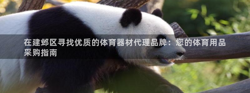 尊龙贴吧：在建邺区寻找优质的体育器材代理品牌：您的体