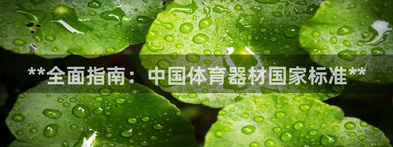 尊龙t500和t300区别：**全面指南：中国体育器