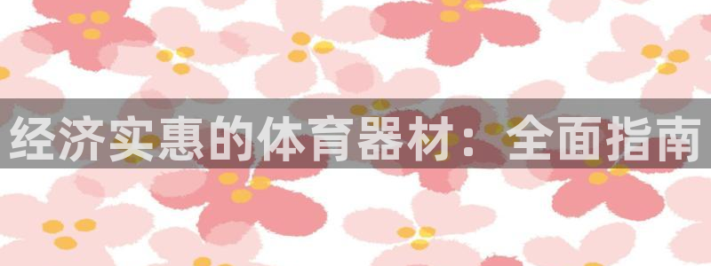 尊龙凯时是正规平台吗：经济实惠的体育器材：全面指南