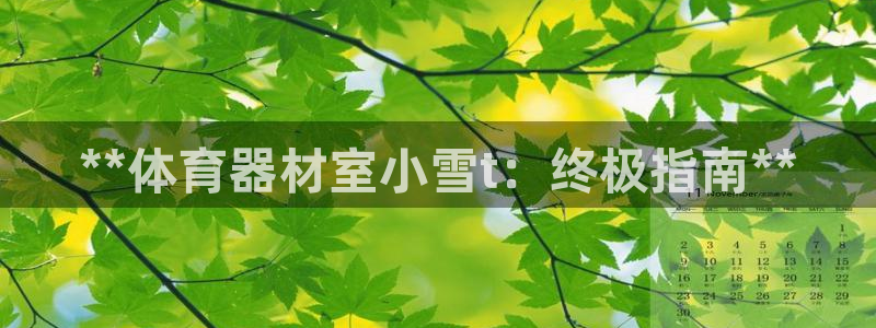凯时网址多少：**体育器材室小雪t：终极指南**