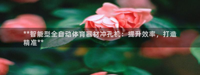 z6尊龙官网：**智能型全自动体育器材冲孔机：提升效