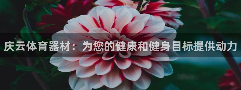 尊龙凯时 - 人生就是搏有假吗：庆云体育器材：为您的