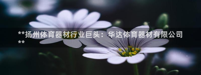 尊龙 ag