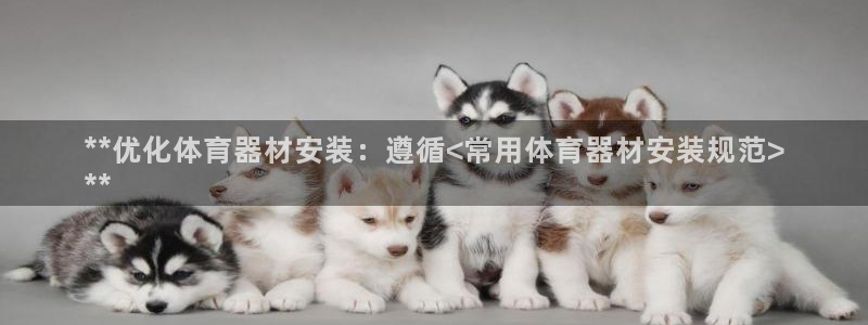 尊龙凯时官网版登录：**优化体育器材安装：遵循<常用