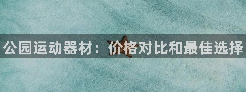 尊龙凯时代理官网入口：公园运动器材：价格对比和最佳选