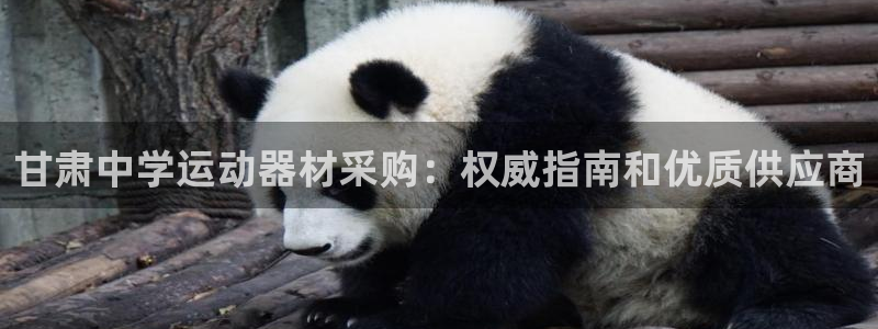 尊龙服饰有限公司地址：甘肃中学运动器材采购：权威指南