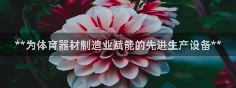 尊龙凯时百家乐手机下载：**为体育器材制造业赋能的先