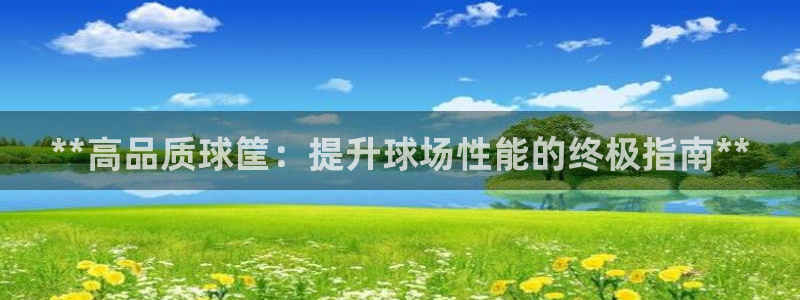 尊龙多少岁：**高品质球筐：提升球场性能的终极指南*