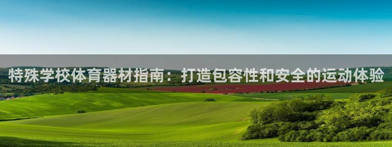 尊龙凯时官网首页：特殊学校体育器材指南：打造包容性和