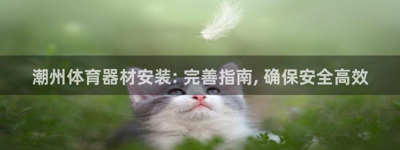 凯时kb88官方：潮州体育器材安装: 完善指南, 确