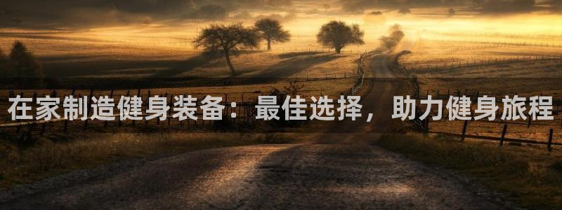 尊龙凯时品牌介绍：在家制造健身装备：最佳选择，助力健