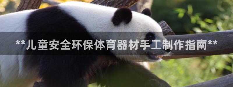 尊龙人生就是博l：**儿童安全环保体育器材手工制作指