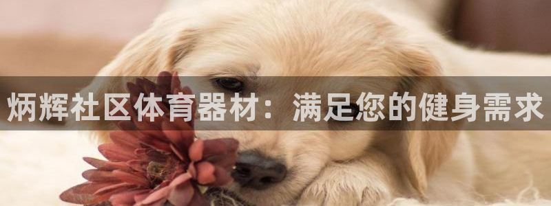 尊龙人生就是博管网：炳辉社区体育器材：满足您的健身需