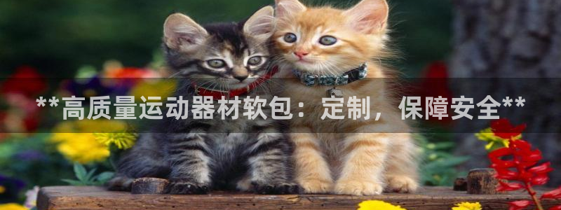尊龙体育怎么样：**高质量运动器材软包：定制，保障安
