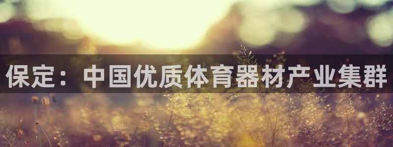 尊龙用现金娱乐一下下载旧：保定：中国优质体育器材产业