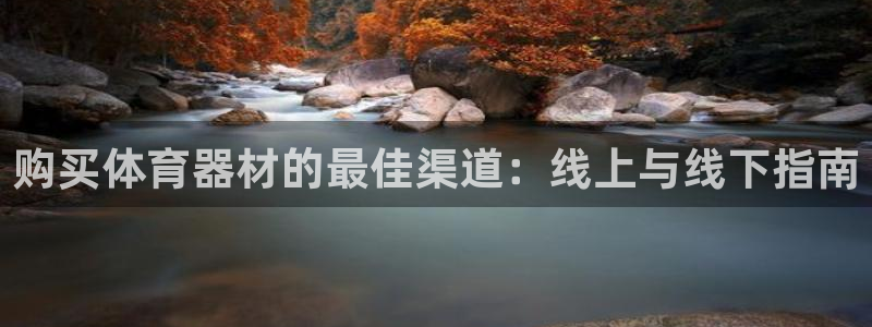 尊龙集团官网：购买体育器材的最佳渠道：线上与线下指南