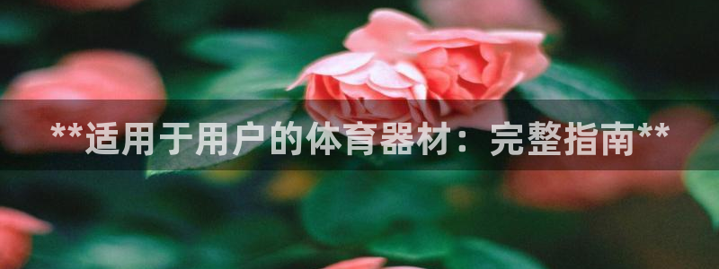 ag尊龙凯时俱乐部：**适用于用户的体育器材：完整指