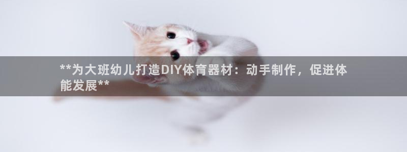 尊龙官方网站最新版V9.3.06介绍：**为大班幼儿