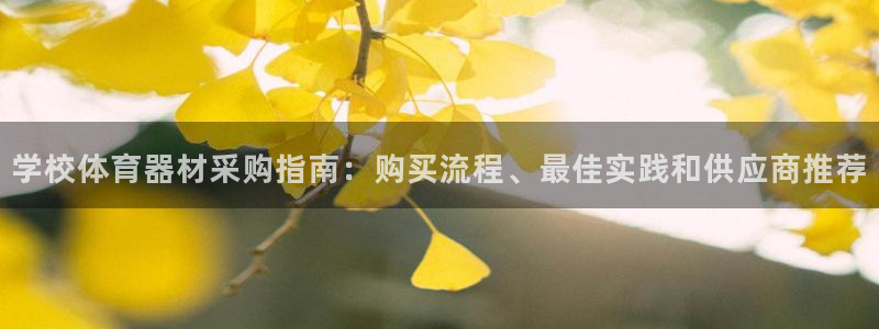 凯时AG网