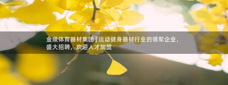 国际凯时ag优质运营商：金陵体育器材集团 | 运动健