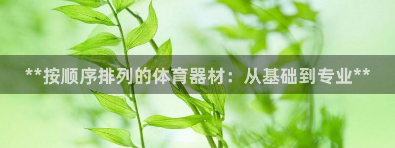 尊龙凯时请求参数不符合：**按顺序排列的体育器材：从