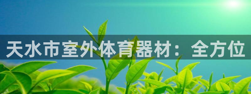 尊龙t400和尊龙t300区别：天水市室外体育器材：