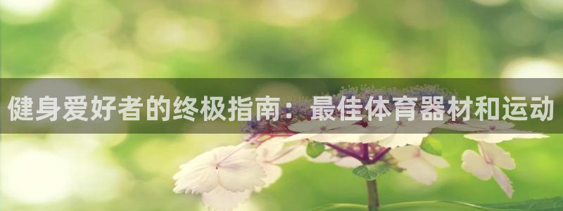 尊龙d88官网新版：健身爱好者的终极指南：最佳体育器