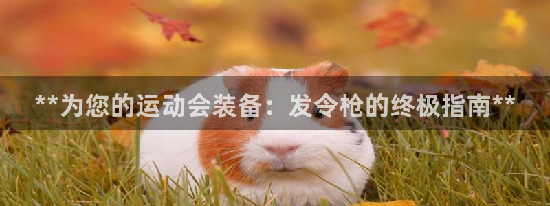尊龙手机版：**为您的运动会装备：发令枪的终极指南*