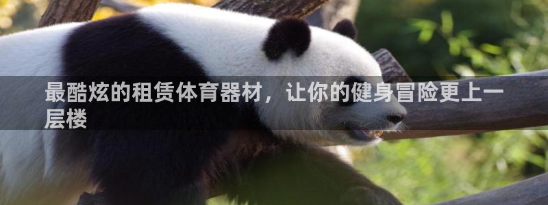 尊龙凯时 人生就是搏!：最酷炫的租赁体育器材，让你的