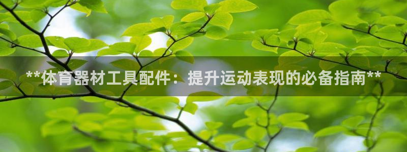 尊龙人生就是博登录首页：**体育器材工具配件：提升运
