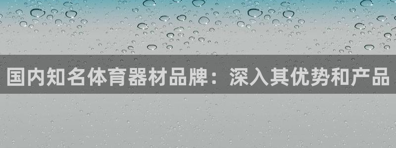 尊龙新版App下载：国内知名体育器材品牌：深入其优势