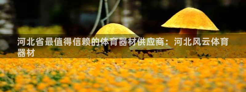 尊龙凯时出款：河北省最值得信赖的体育器材供应商：河北