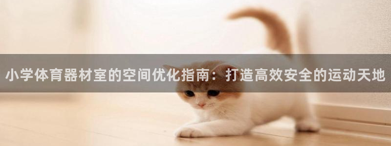 尊龙D88现金旧版：小学体育器材室的空间优化指南：打