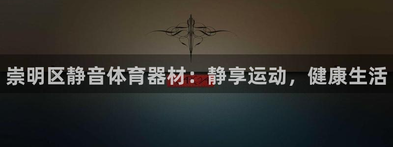 尊龙凯时赞助：崇明区静音体育器材：静享运动，健康生活