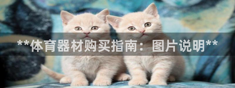 凯时kb88公司简介：**体育器材购买指南：图片说明