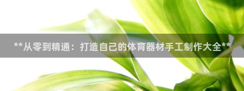 尊龙凯时人生就是博·(中国)：**从零到精通：打造自