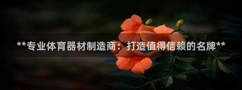 尊龙官网入口：**专业体育器材制造商：打造值得信赖的