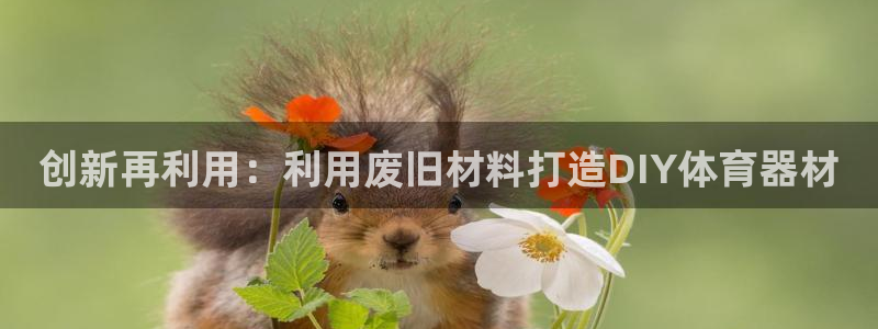 AG尊龙注册在线游戏：创新再利用：利用废旧材料打造D