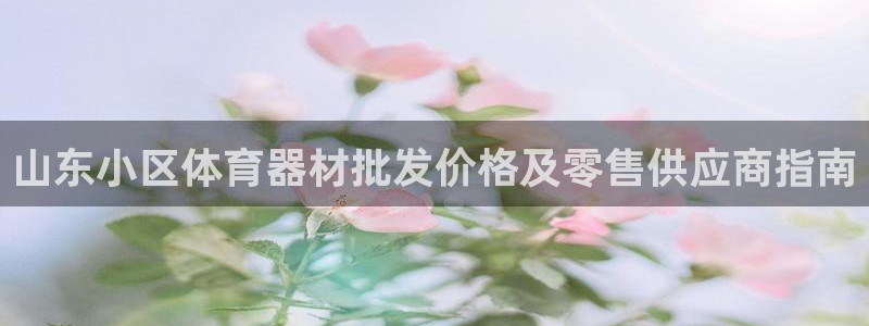 尊龙手机客户端app：山东小区体育器材批发价格及零售