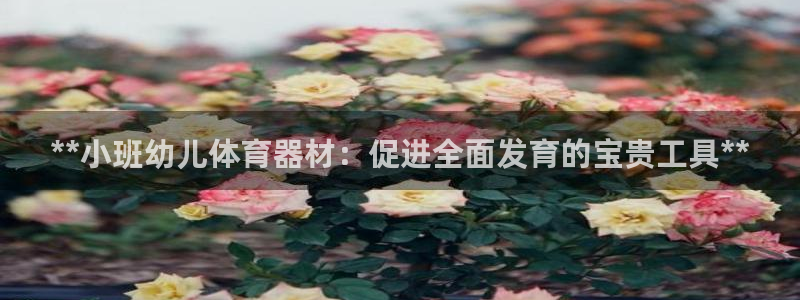 尊龙凯时怎么注销账号：**小班幼儿体育器材：促进全面