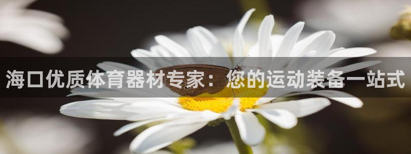 尊龙凯时官方下载：海口优质体育器材专家：您的运动装备