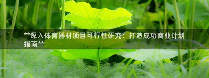 凯时效果怎么样：**深入体育器材项目可行性研究：打造