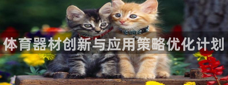 K66凯时国际平台官网