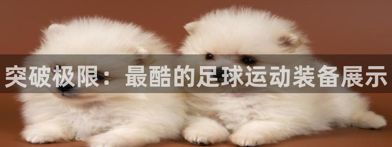 尊龙人生就是博登陆