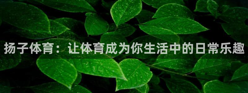 凯时APP官网首页